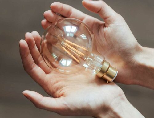 The Future in Renewable Energy
