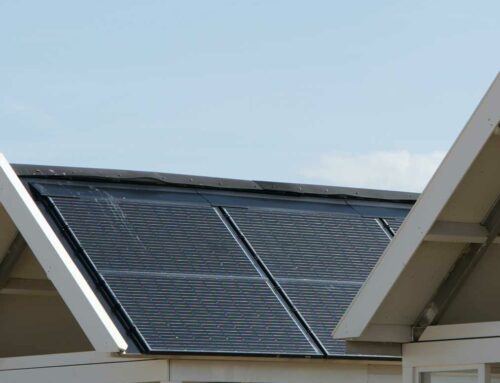 The Pros and Cons Of Renewable Energy